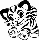 Tiger Baby Drawing Coloring Pages Getdrawings sketch template