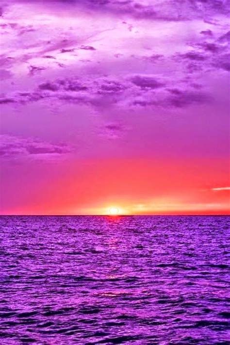 nature landscape  purple ocean beautiful