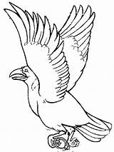 Crows Cioara Crow Colorat Birds Planse Pasari Desene Imagini Ciori sketch template