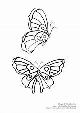 Farfalla Farfalle Bambini Colorare Bonfante sketch template