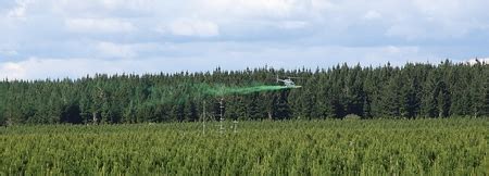 scion advanced technologies expand  knowledge  spray deposition