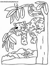 Coloring Pages Kids Omalovánka Schmetterling Jungle Animal Schablone Choose Board Drawing sketch template