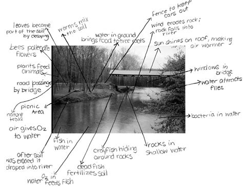 annotate  photograph   study site