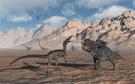 protoceratops  velociraptor  wins