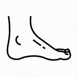 Ankle Parts Body Anatomy Icon Editor Open sketch template