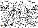 Emu Lessons Uluru sketch template