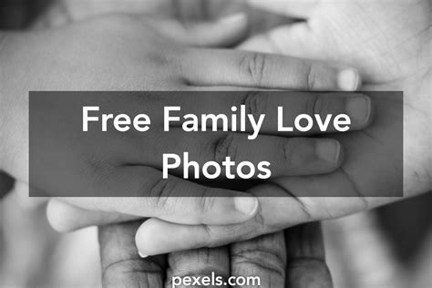 engaging family love  pexels  stock