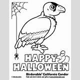Condor Coloring California 400px 86kb sketch template