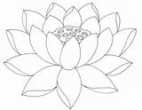 Lotus Outline Flower Coloring Simple Pages Drawing Clipart Cliparts Az Library Clip Favorites Add Popular sketch template