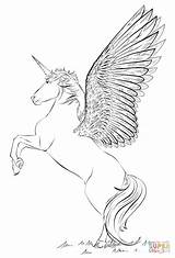 Coloring Unicorn Pages Wings Printable sketch template