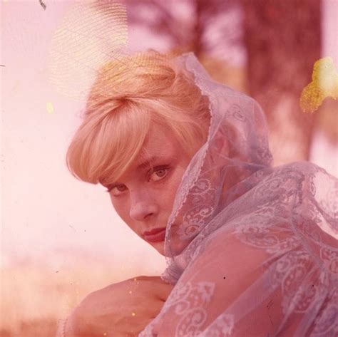 Fabulous Photos Of Elke Sommer Hollywood Sex Symbol In The 1960s