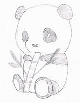 Panda Coloring Pandas Getdrawings Gaddynippercrayons sketch template