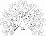Peacock Coloring Pages Printable Outline Print Color Heart Hearts Colouring Kids Tattoo Mandala Realistic Sheets Patterned Tail Sweet Adult Adults sketch template