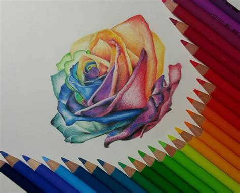 colored pencil drawings  beginners pencildrawing