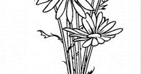 daisy flower coloring pages  printable coloring page daisy