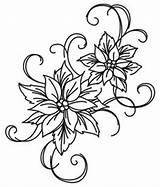 Christmas Flowers Poinsettia Trace Coloring Embroidery Poinsettias Pages Drawing Pattern Flower Clip Designs Patterns Colors Templates Clipart Urban Tinsel Touch sketch template