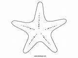 Starfish Coloring Animals Marina Printable Stella Da Colorare Stelle Marine Pages Drawing sketch template