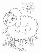 Coloring Pages Sheep Print Getcolorings Minecraft sketch template
