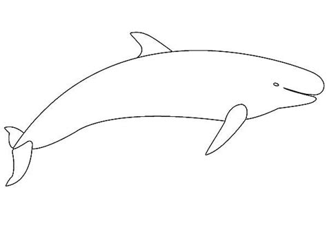 blue whale outline coloring page kids play color whale outline
