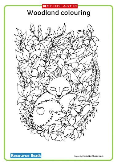 woodland animals colouring sheet  early years teaching resource