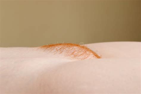 monticule pubien rouge image stock image du cheveu sensuel 14702847