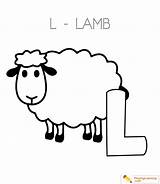 Lamb Coloring sketch template