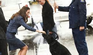 the duke and duchess of cambridge wave goodbye to new zealand as they head for australia with