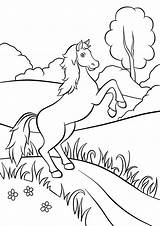 Paarden Paard Steigeren Cheval Horse Kolorowanki Konik Konie Farma Dwóch Nogach Stojący Terborg600 Debout Champ Een Tekeningen Planetadziecka Drukowania Druku sketch template