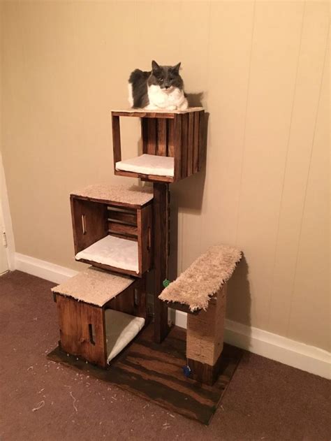cool ideas  cat trees towers   structures houze remodel interior design