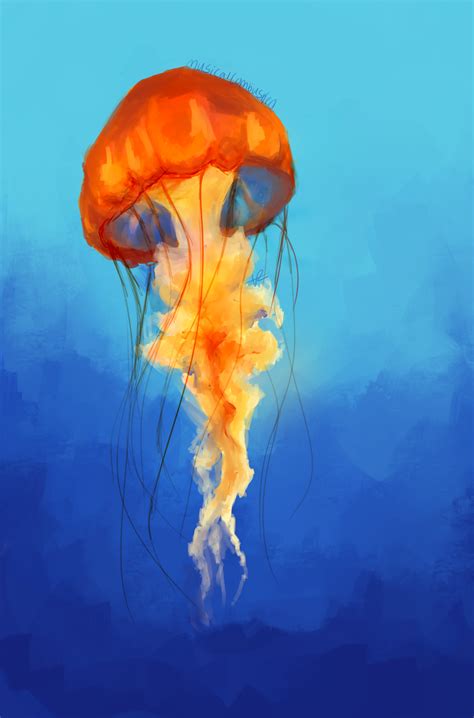 jellyfish  musicalcombusken  deviantart