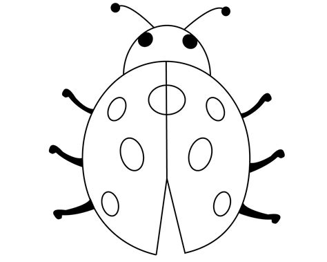 ladybug   spots coloring page coloring pages
