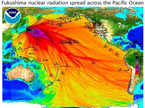 Radiation From Fukushima Detected Off Canada S Coast Malibu Ca Patch