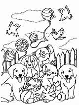 Frank Lisa Coloring Pages Printable Caymus Spotty Playtime Sunflower Casey Forest sketch template
