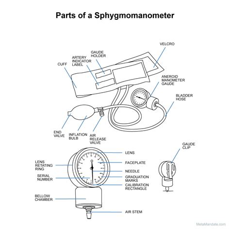 parts   sphygmomanometer  names  functions