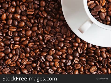 coffee beans with a cup filled with coffee beans free stock images
