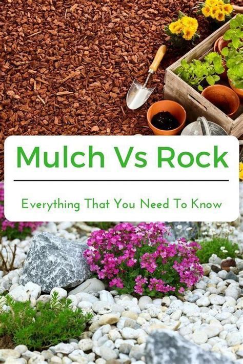 mulch  rock       mulch landscaping