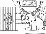Zoo sketch template