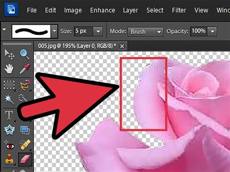 remove background  photoshop elements  pictures