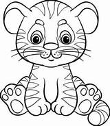 Facili Harimau Mewarnai Tigre Colorir Facile Disegnare Animali Safari Imprimir Tigres Tigri Pintarmewarnai Mamma Ort Animale Ausmalbild Hase Stampare Colorat sketch template