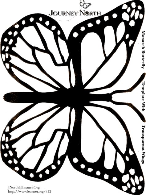 monarch butterfly template   monarch butterfly