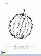Durian sketch template