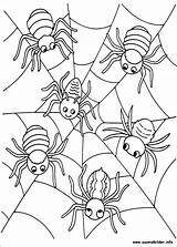 Halloween Coloring Pages Spinnen Kids Book Sheets Ausmalbilder Spinne Spin Activity Books Spiders Spider Holidays Activities Part Updated Last Besuchen sketch template