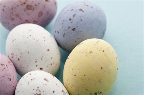 stock photo  colourful easter mini eggs freeimageslive