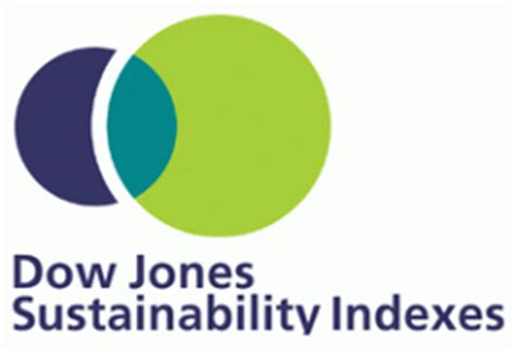 thoughtshower indexing sustainability investing results   djsi announced