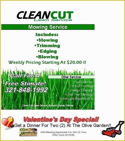 lawn care flyer templates word  lawn care flyer template
