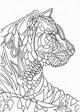 Coloring Mindfulness Anxiety Calm Tiger Lion Getdrawings Olds Cat Viatico Aanbevelingen Kleurboeken Boek sketch template
