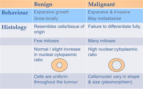What Is The Difference Between Benign And Malignant Cancer Hot Sex