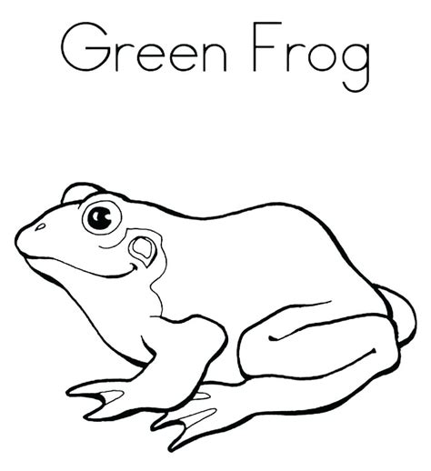 frog adult coloring pages  getcoloringscom  printable