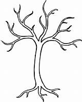 Tree Coloring Bare Branch Pages Colouring Clip Branches Drawing Cli Leafless Clipart sketch template