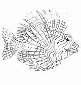 Lionfish Designlooter sketch template